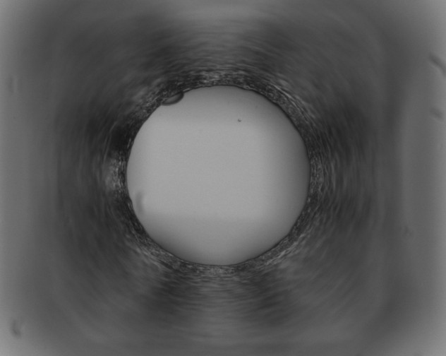 X0000093160770200709261035