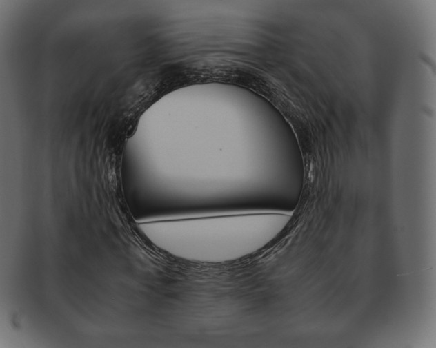 X0000093160771200709261035