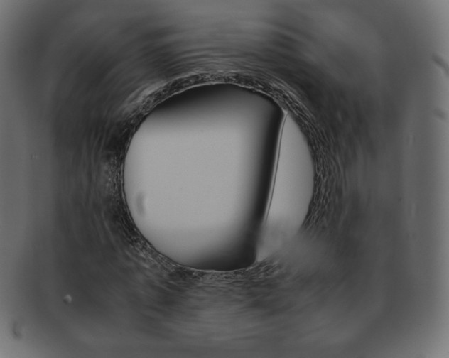 X0000093160773200709261035