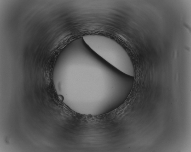 X0000093160774200709261035