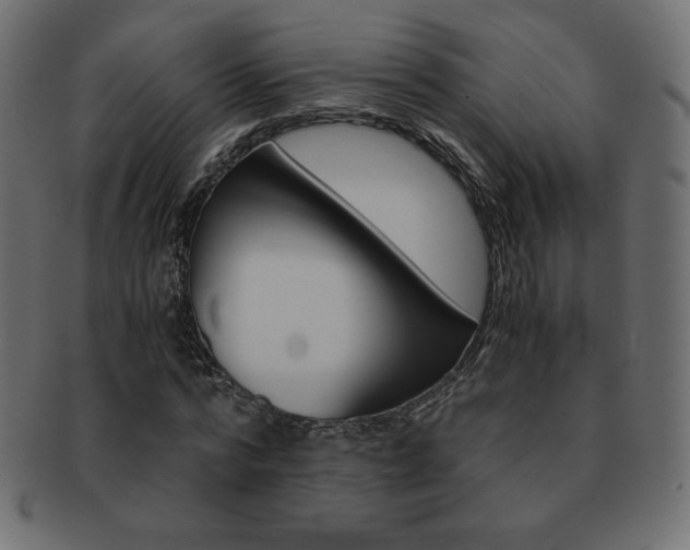 X0000093160776200709261035