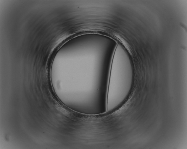 X0000093160779200709261035