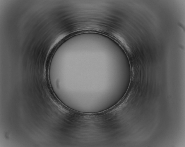 X0000093160780200709261035
