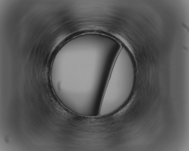 X0000093160783200709261035