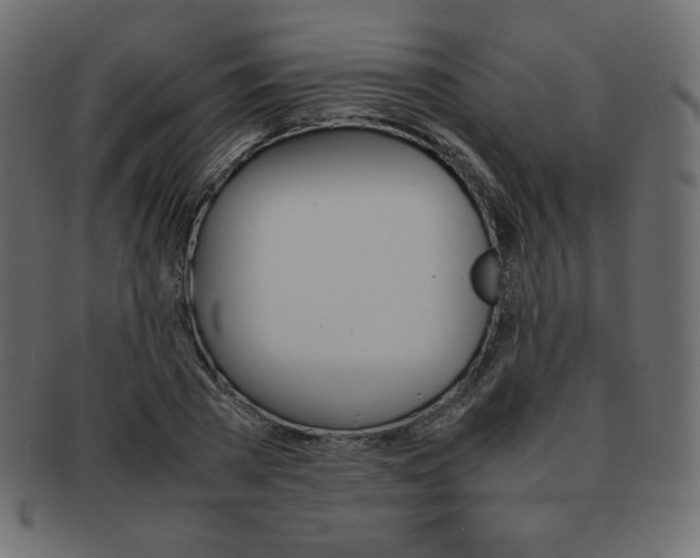 X0000093160785200709261035