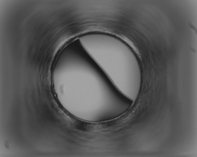 X0000093160791200709261035