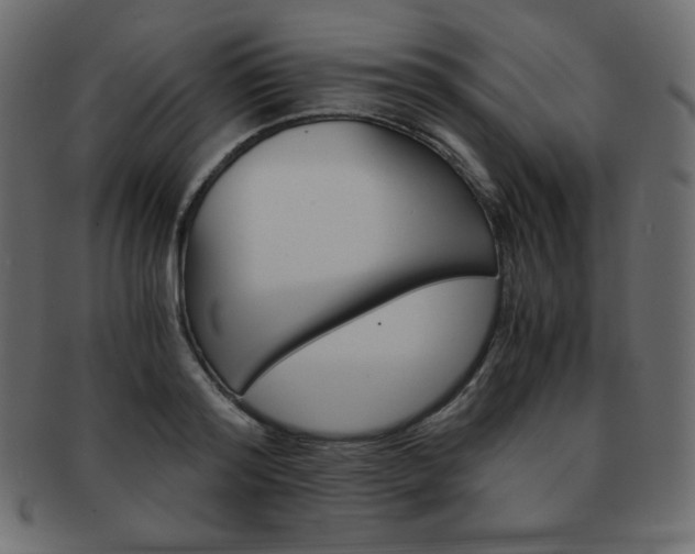 X0000093160796200709261035