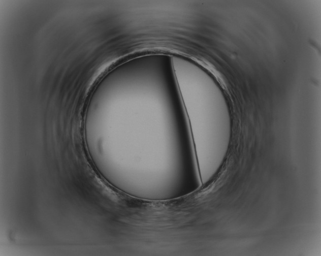 X0000093160799200709261035