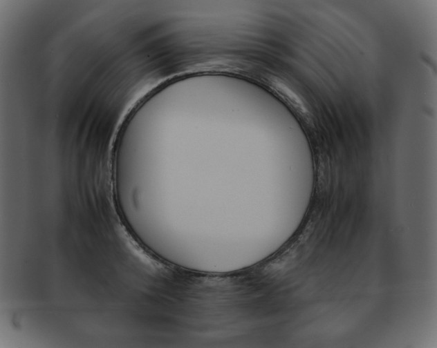X0000093160800200709261035