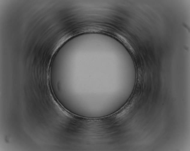 X0000093160802200709261035
