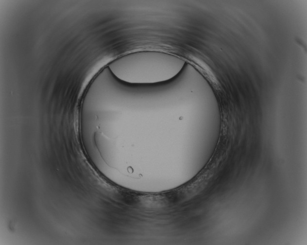 X0000093160804200709261035