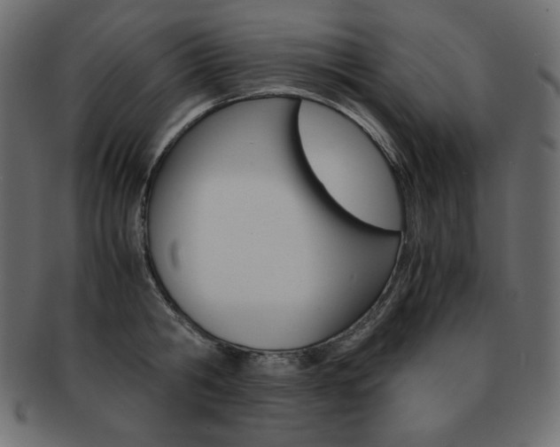 X0000093160806200709261035