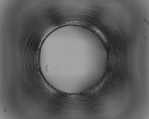 X0000093160808200709261035