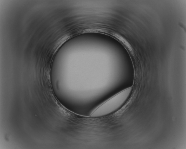 X0000093160809200709261035