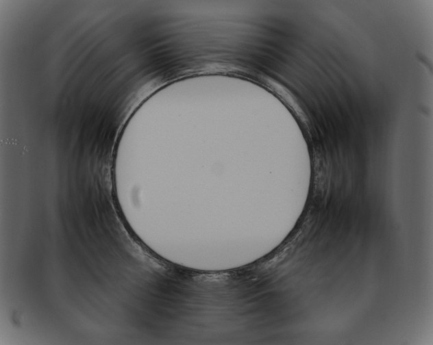 X0000093160810200709261035