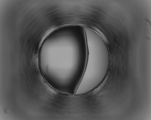 X0000093160812200709261035