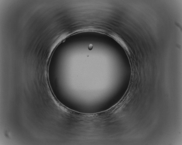 X0000093160813200709261035