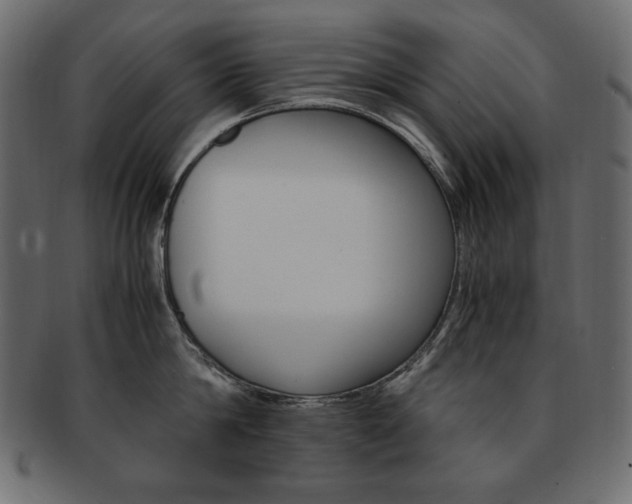 X0000093160814200709261035