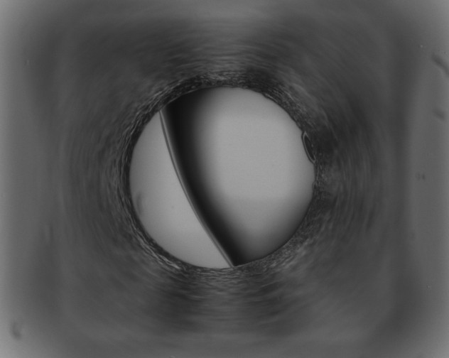 X0000093160817200709261034
