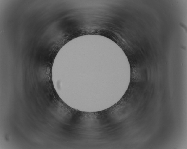 X0000093160820200709261034
