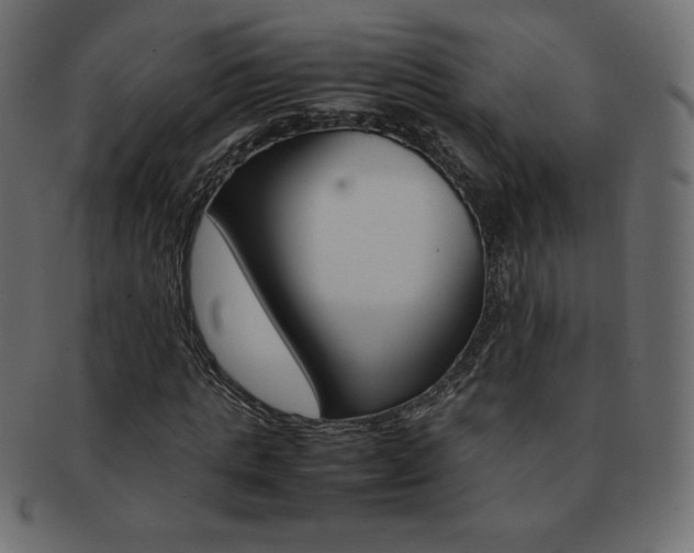 X0000093160821200709261034