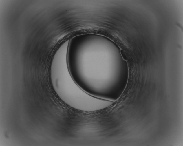X0000093160822200709261034