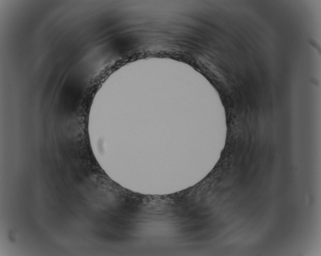 X0000093160824200709261034
