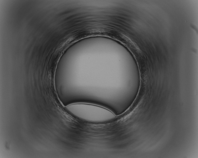 X0000093160825200709261034