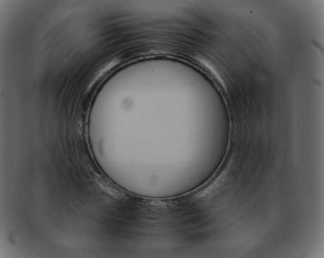 X0000093160827200709261034