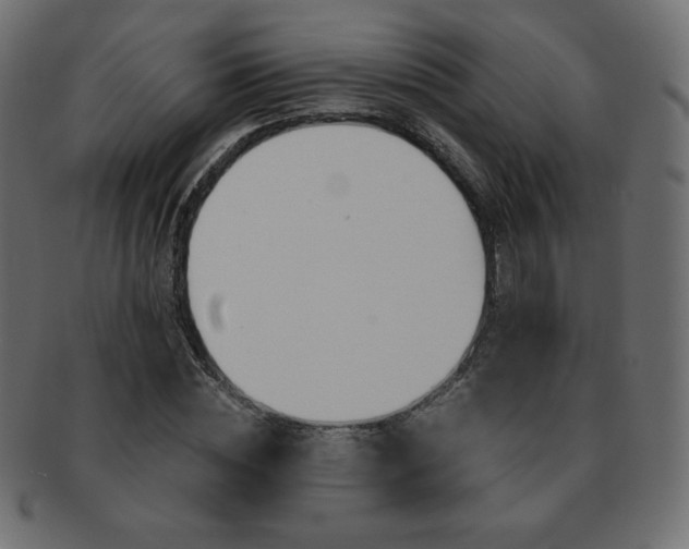 X0000093160828200709261034