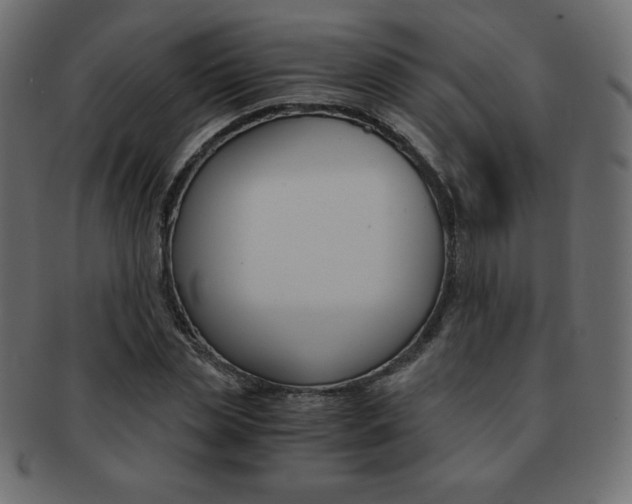 X0000093160829200709261034