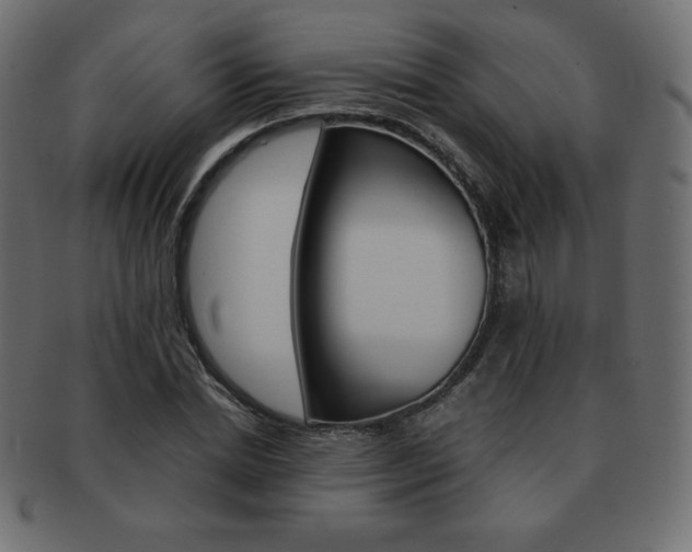 X0000093160830200709261034