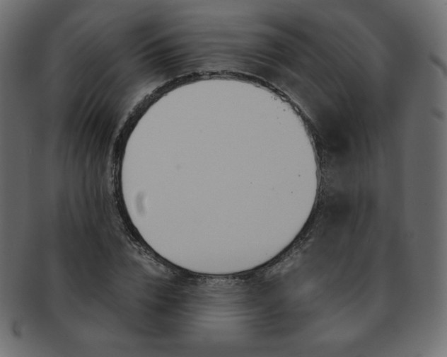 X0000093160832200709261034