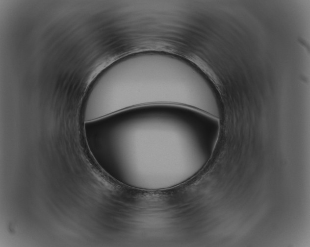 X0000093160834200709261034