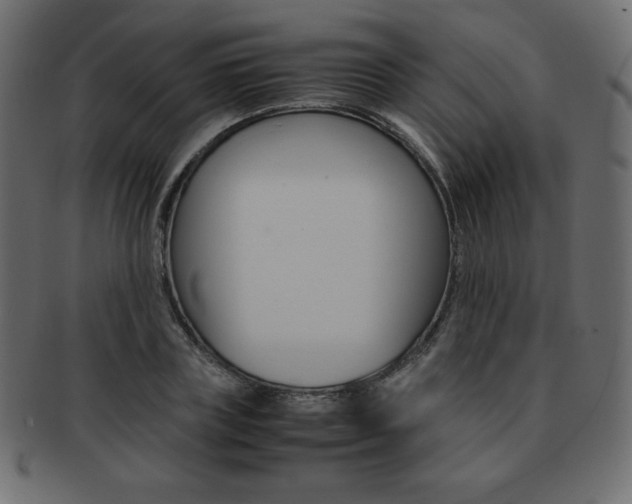 X0000093160835200709261034