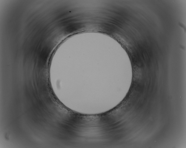 X0000093160836200709261034
