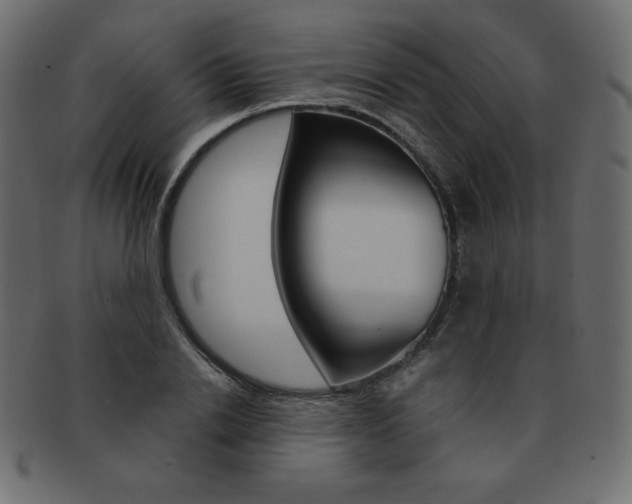 X0000093160838200709261034