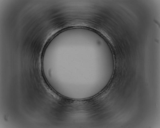 X0000093160840200709261034