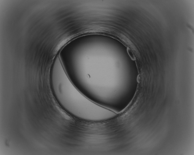 X0000093160842200709261034