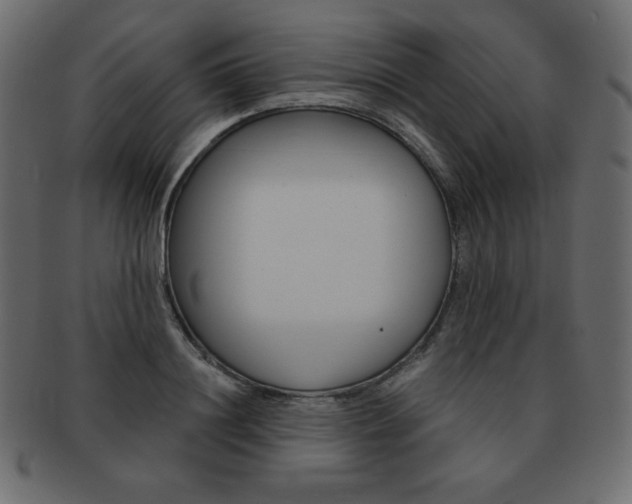 X0000093160844200709261034
