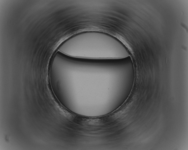 X0000093160845200709261034