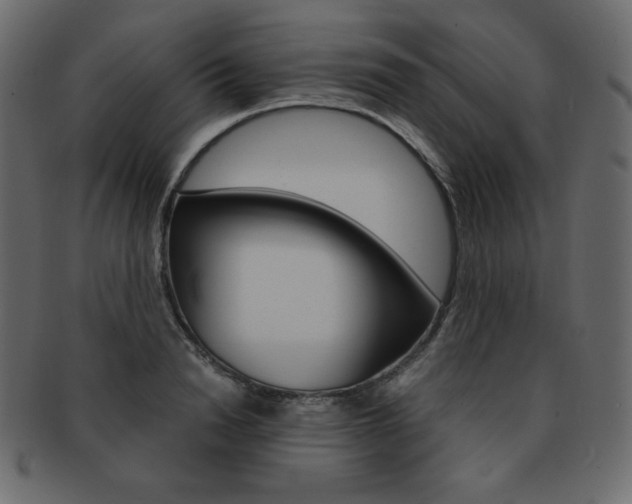 X0000093160846200709261034