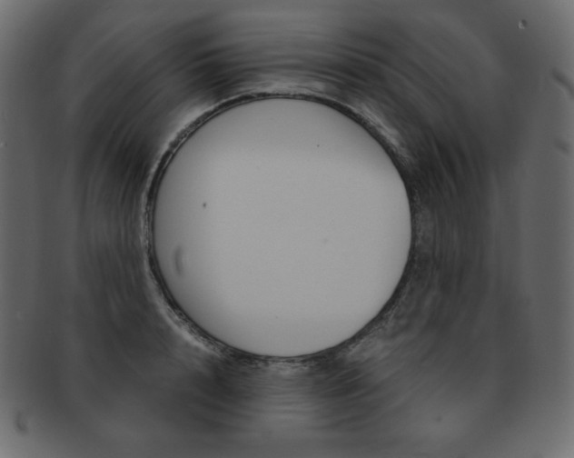 X0000093160848200709261034
