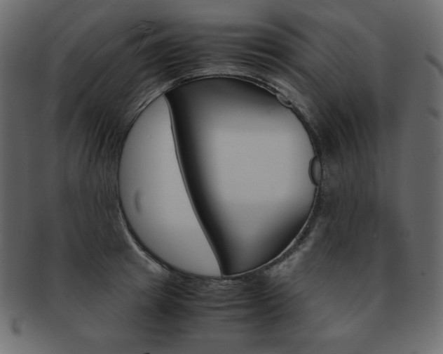 X0000093160849200709261034