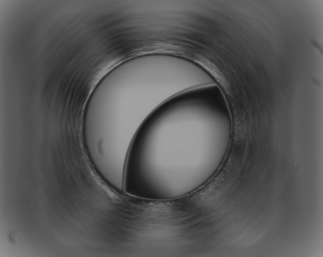 X0000093160850200709261034