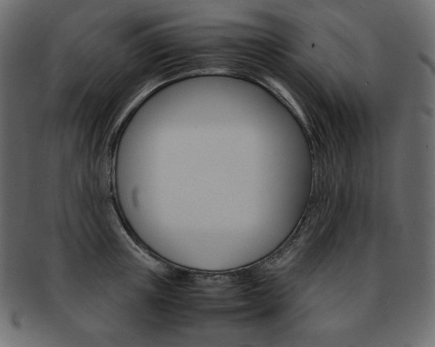 X0000093160851200709261034