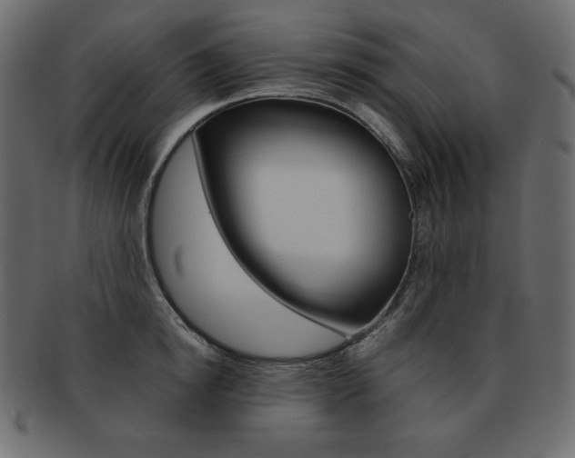 X0000093160854200709261034