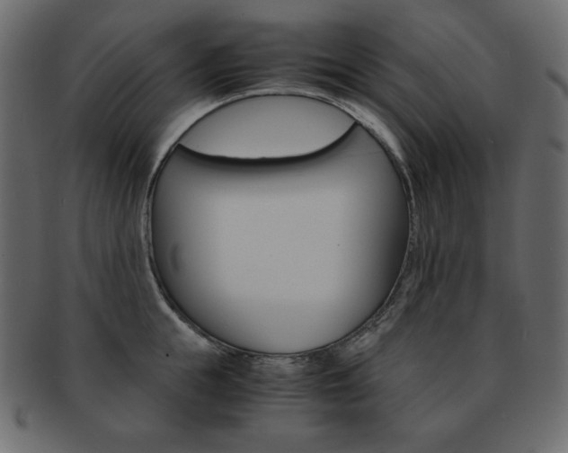 X0000093160855200709261034