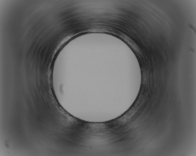X0000093160856200709261034