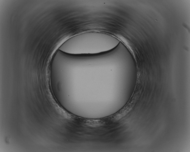 X0000093160859200709261034